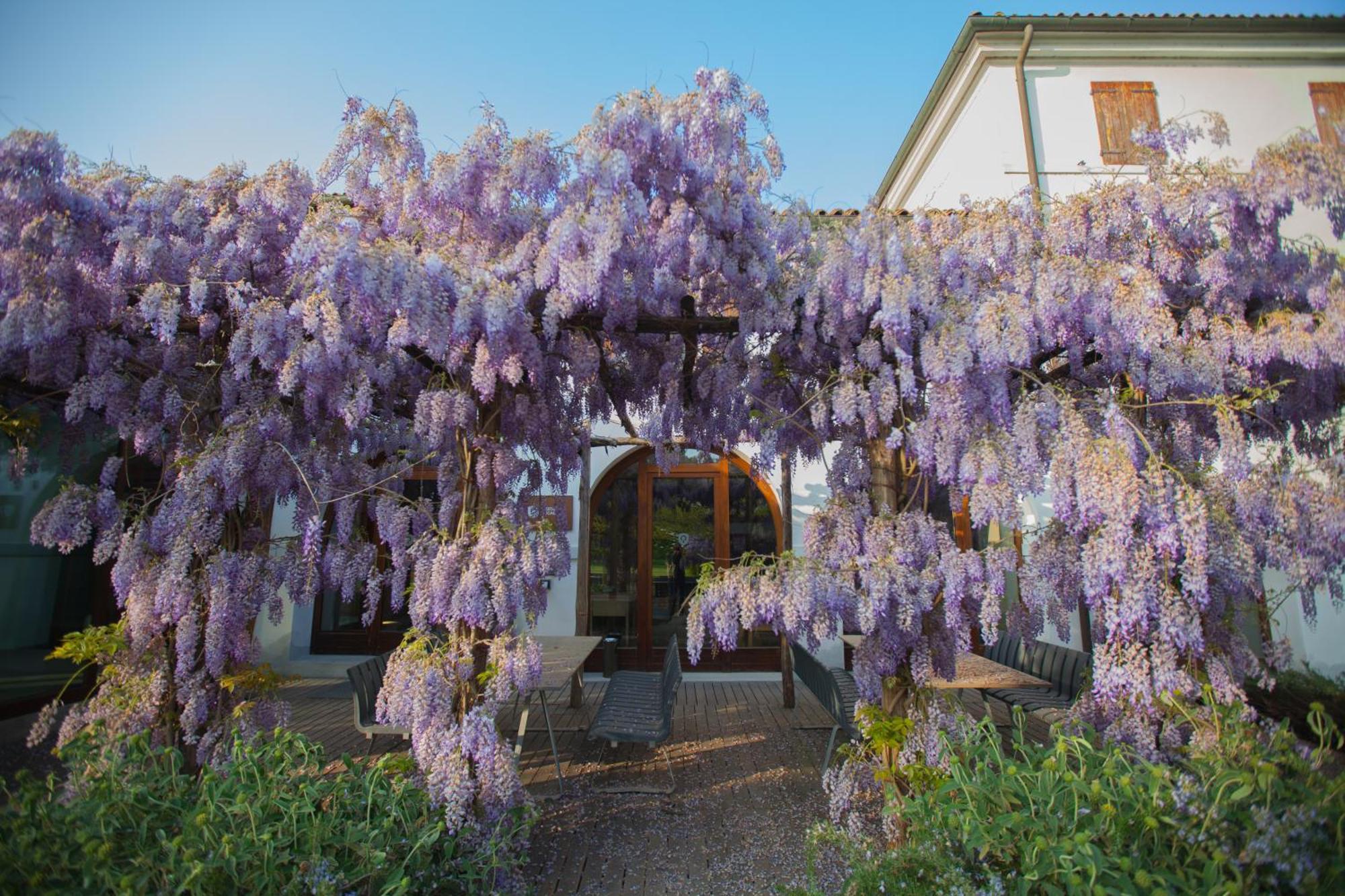 Farm House ロンカーデ エクステリア 写真